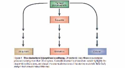 TABLE_ECLI_NL_RBDHA_2015_8197-14