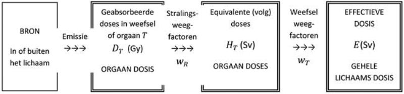 bijlage 2-C1