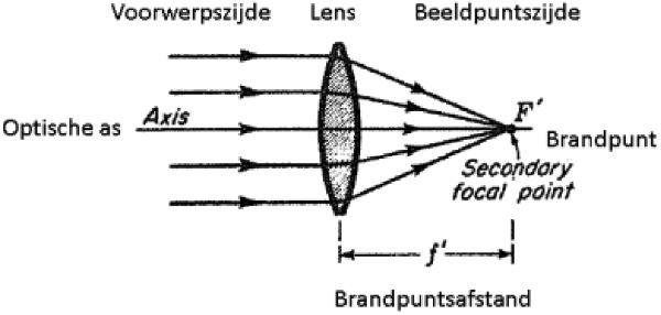 ECLI_NL_RBDHA_2017_6136-37