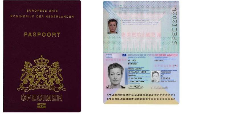 stcrt-2024-38381_001