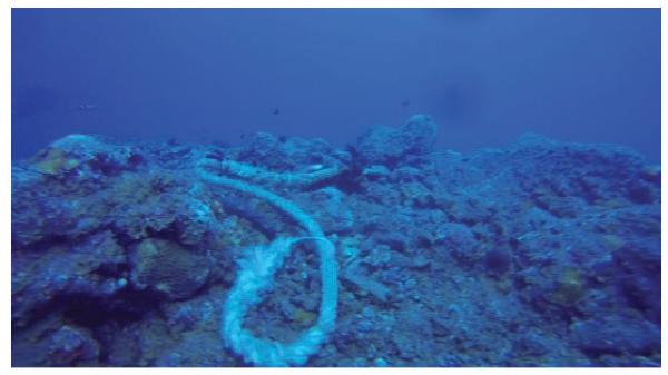 ECLI_NL_RBROT_2021_1360-11-3