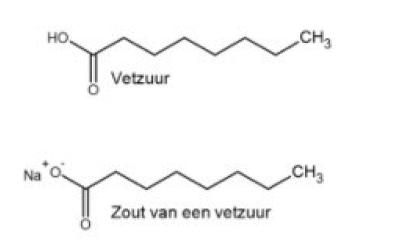 ECLI_NL_GHDHA_2021_2055-13-44