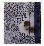 ECLI_NL_RBOBR_2024_699-35-2