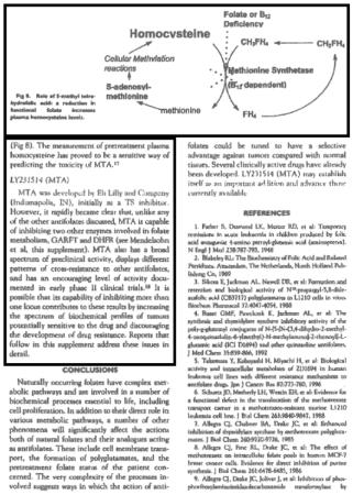 ECLI_NL_RBDHA_2017_1907-05