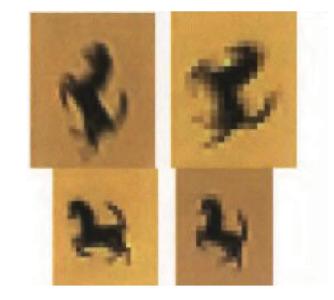 ECLI_NL_GHDHA_2022_1995-7-16