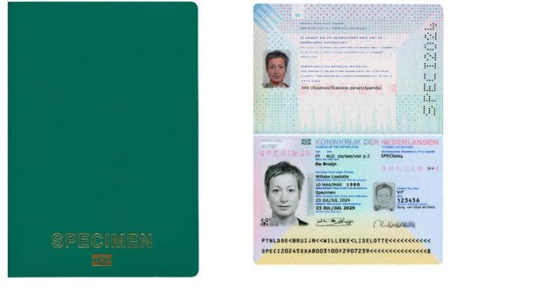 stcrt-2024-38381_003