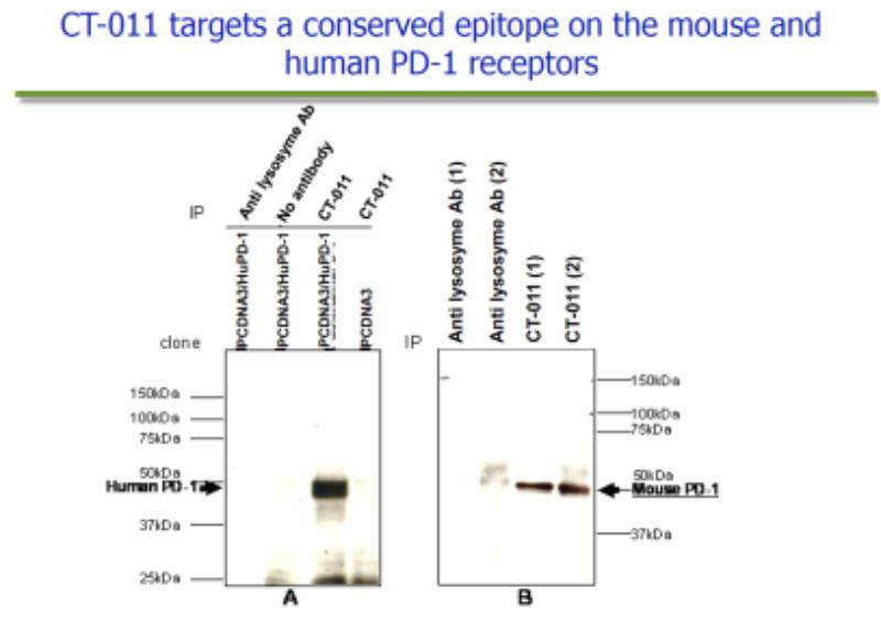 id-3f3698dc-ddc6-44df-acaa-213b2eb0b741