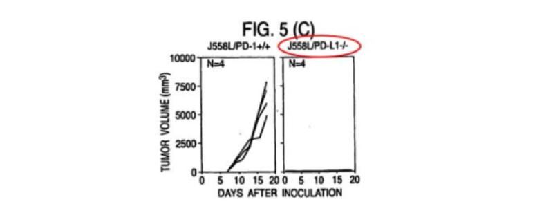 id-633f39d9-8f97-41e1-a41e-273d6ebccb6b